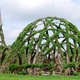 Illustration for article titled Behold These Incredible Works Of Architecture Made Out Of Living Trees